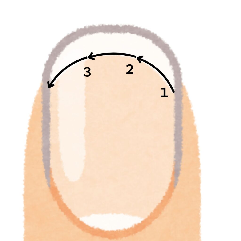 爪の先端を1から3の順番で一続きに切っていく従来の爪の切り方を示した図。爪の右側から左側へ向かってアーチ状に矢印が描かれている。