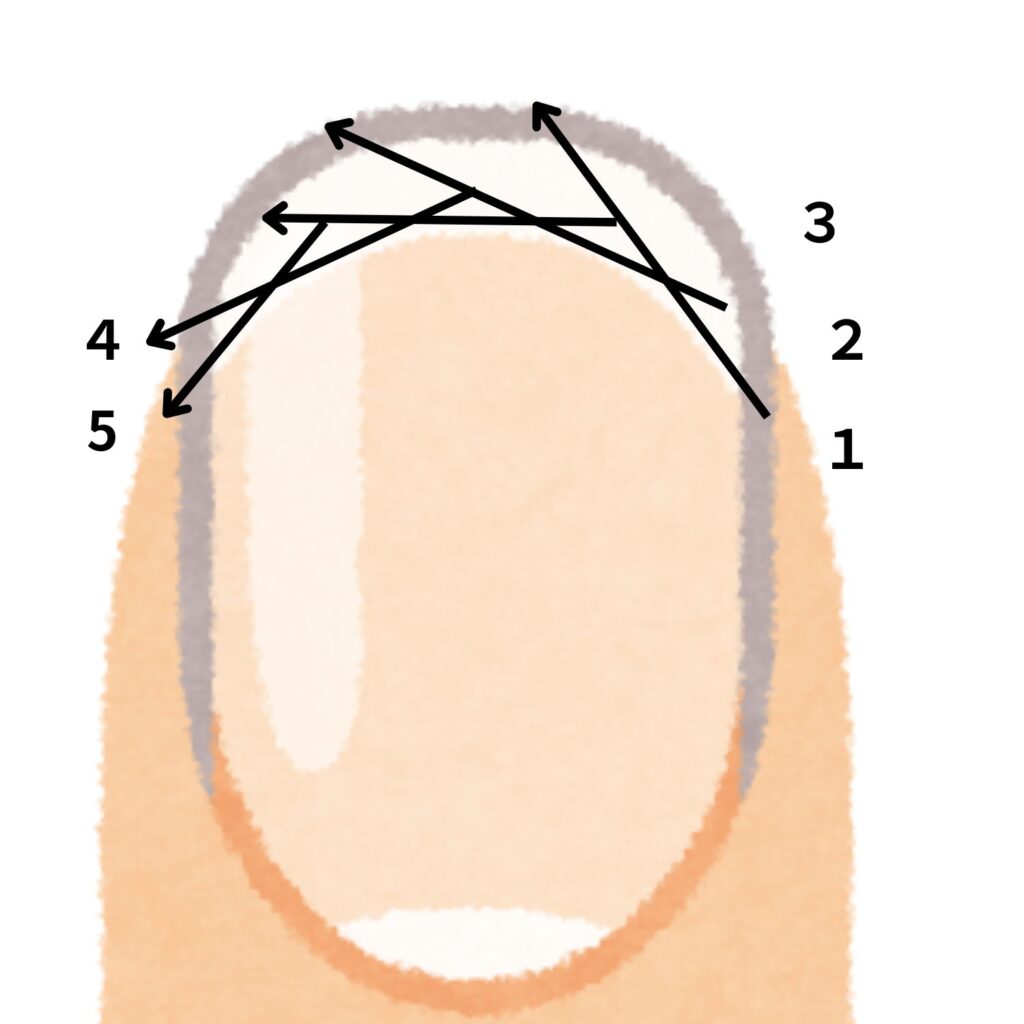 指先の爪を5つの工程に分けて切る方法を示した図。爪の右下から1→2→3と進み、左側へ4→5の順番で切り離していく新しい爪の切り方を矢印で説明している画像。